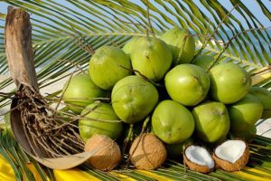 Sản Phẩm Từ Dừa